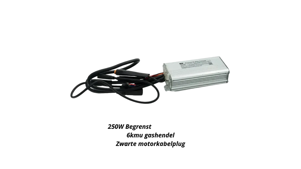 QMWHEEL V20 controller (250w) (zwarte plug)