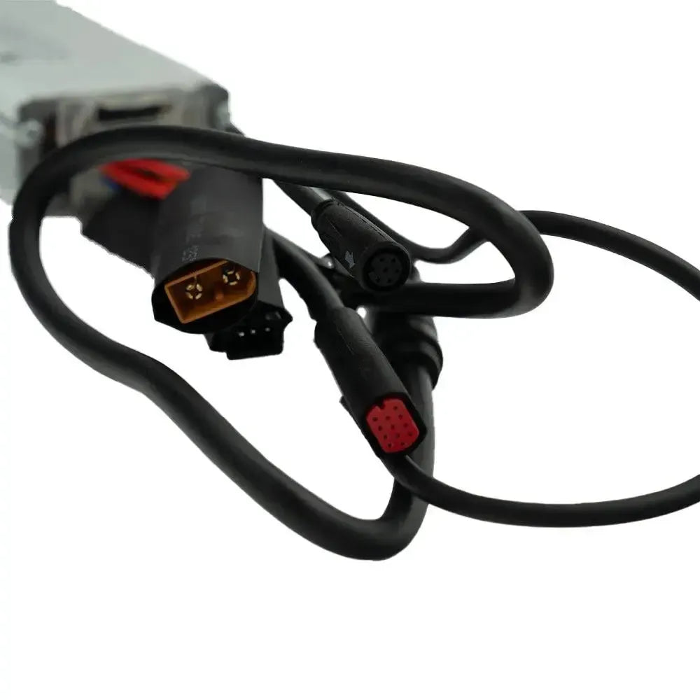 V20 & S20 - Motor Controller 250 watt - zwarte kabel