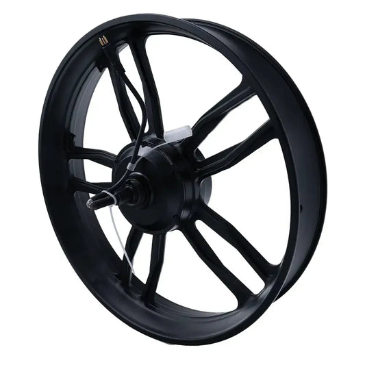 V20/S20 - Motor - Met Velg - 250 watt - zwarte kabel
