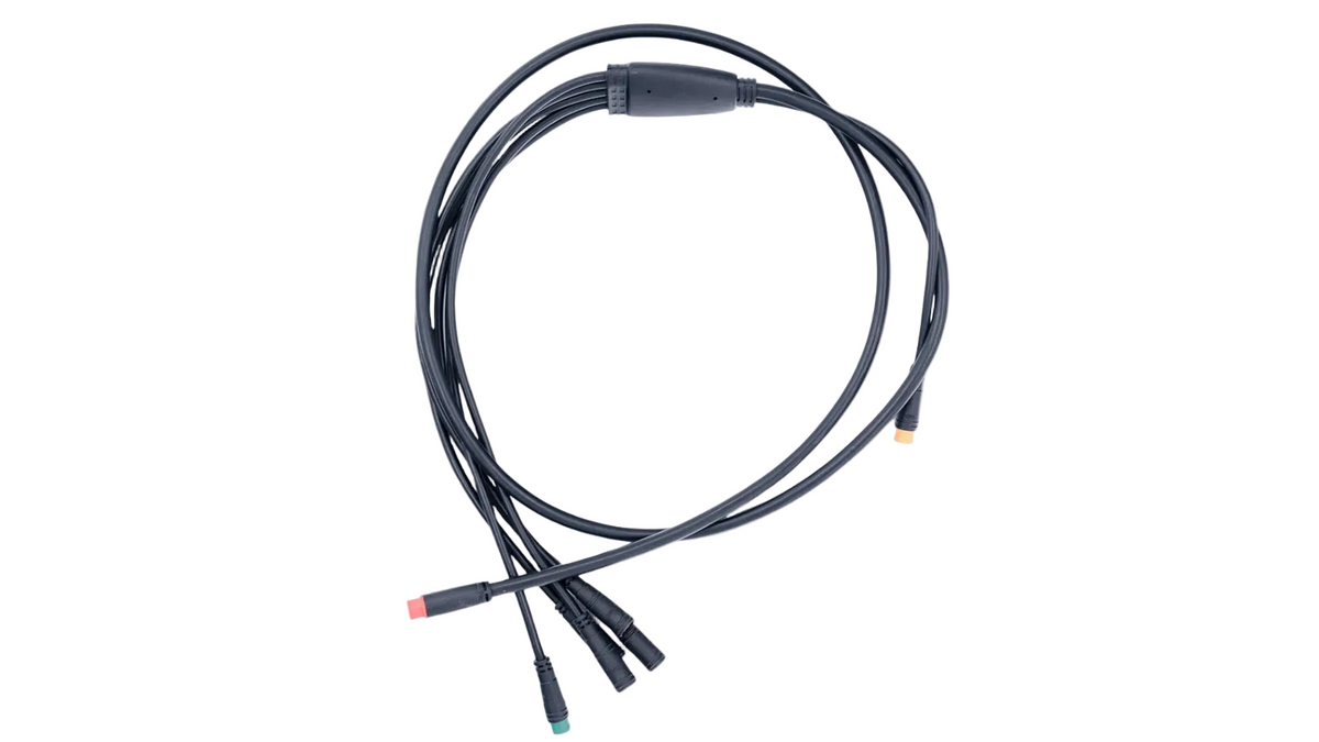 QMWHEEL V20 Kabelboom 2 PINS