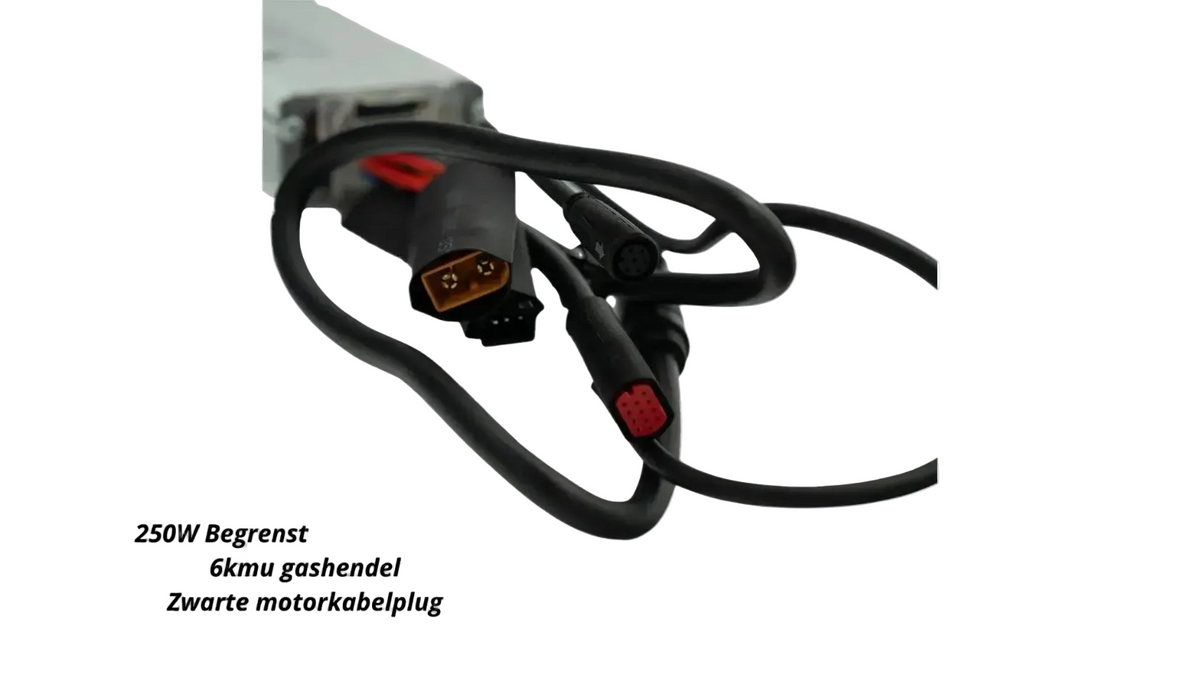 QMWHEEL V20 controller (250w) (zwarte plug)