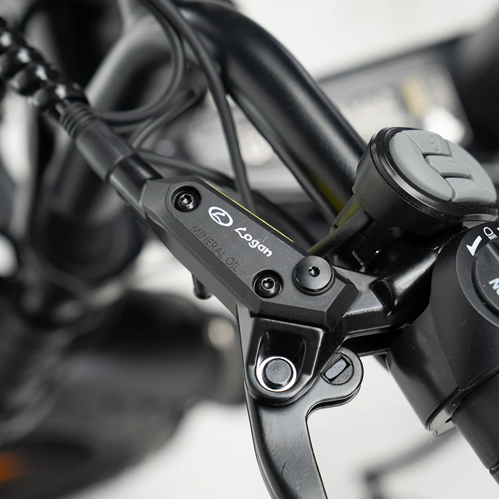 OUXI V8 6.0 (C80) Fatbike - Zwart - Hydraulische Remmen